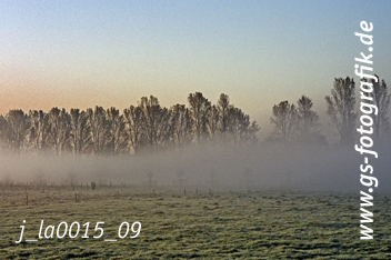 Bild in den Warenkorb legen Bild in den Warenkorb legen