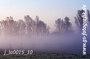 Bild in den Warenkorb legen Bild in den Warenkorb legen