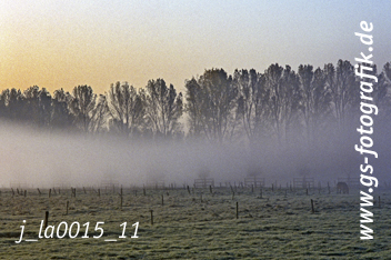 Bild in den Warenkorb legen Bild in den Warenkorb legen