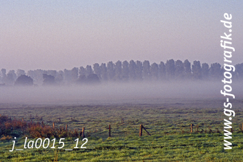 Bild in den Warenkorb legen Bild in den Warenkorb legen