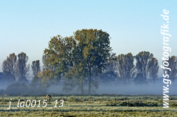 Bild in den Warenkorb legen Bild in den Warenkorb legen