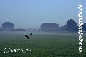 Bild in den Warenkorb legen Bild in den Warenkorb legen