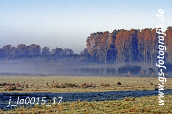 Bild in den Warenkorb legen Bild in den Warenkorb legen