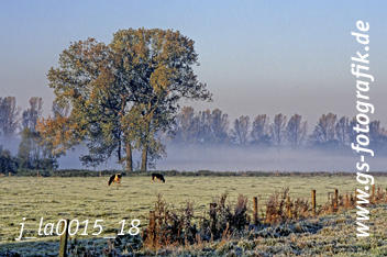 Bild in den Warenkorb legen Bild in den Warenkorb legen