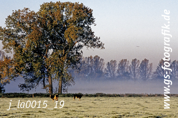 Bild in den Warenkorb legen Bild in den Warenkorb legen