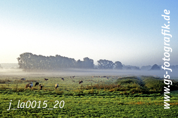 Bild in den Warenkorb legen Bild in den Warenkorb legen