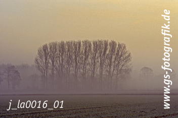 Bild in den Warenkorb legen Bild in den Warenkorb legen