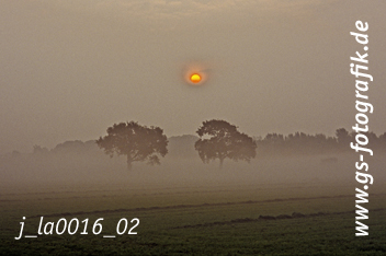 Bild in den Warenkorb legen Bild in den Warenkorb legen