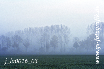 Bild in den Warenkorb legen Bild in den Warenkorb legen