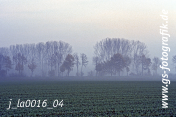 Bild in den Warenkorb legen Bild in den Warenkorb legen