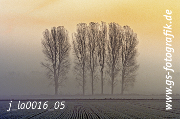 Bild in den Warenkorb legen Bild in den Warenkorb legen