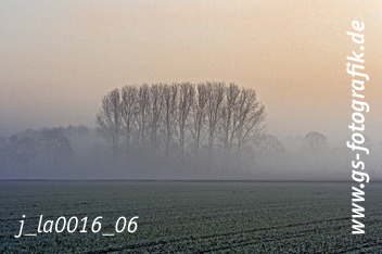 Bild in den Warenkorb legen Bild in den Warenkorb legen