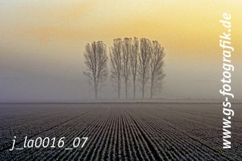 Bild in den Warenkorb legen Bild in den Warenkorb legen