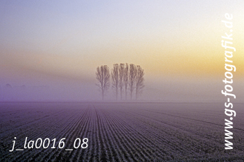 Bild in den Warenkorb legen Bild in den Warenkorb legen