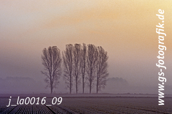 Bild in den Warenkorb legen Bild in den Warenkorb legen