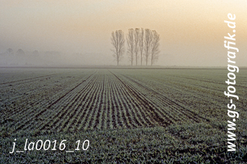 Bild in den Warenkorb legen Bild in den Warenkorb legen