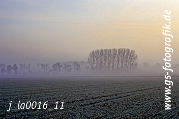 Bild in den Warenkorb legen Bild in den Warenkorb legen