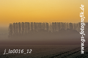 Bild in den Warenkorb legen Bild in den Warenkorb legen