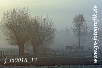 Bild in den Warenkorb legen Bild in den Warenkorb legen