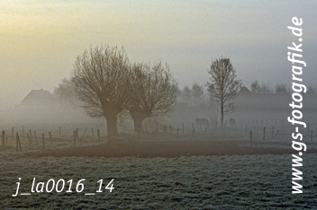 Bild in den Warenkorb legen Bild in den Warenkorb legen