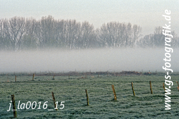 Bild in den Warenkorb legen Bild in den Warenkorb legen