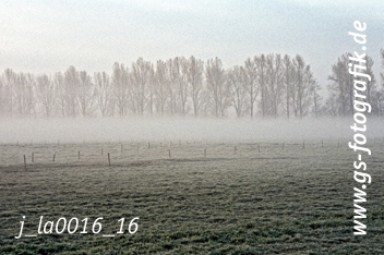 Bild in den Warenkorb legen Bild in den Warenkorb legen