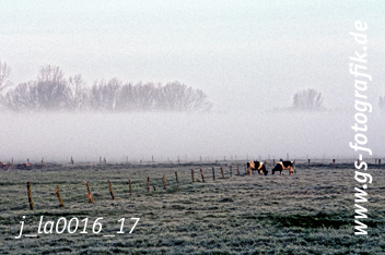 Bild in den Warenkorb legen Bild in den Warenkorb legen