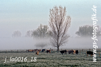 Bild in den Warenkorb legen Bild in den Warenkorb legen