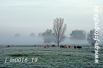 Bild in den Warenkorb legen Bild in den Warenkorb legen