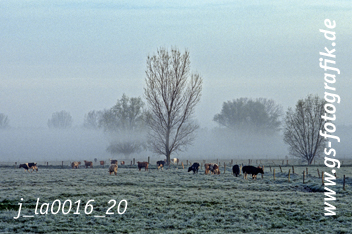 Bild in den Warenkorb legen Bild in den Warenkorb legen