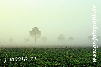 Bild in den Warenkorb legen Bild in den Warenkorb legen