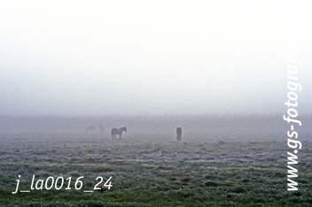 Bild in den Warenkorb legen Bild in den Warenkorb legen