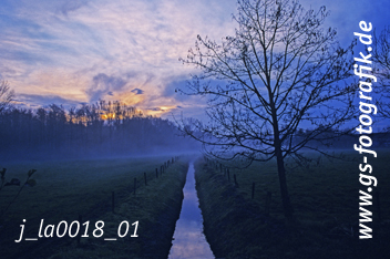 Bild in den Warenkorb legen Bild in den Warenkorb legen