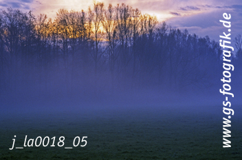 Bild in den Warenkorb legen Bild in den Warenkorb legen