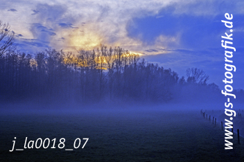 Bild in den Warenkorb legen Bild in den Warenkorb legen