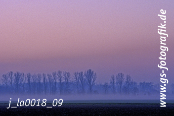 Bild in den Warenkorb legen Bild in den Warenkorb legen