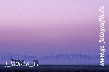 Bild in den Warenkorb legen Bild in den Warenkorb legen