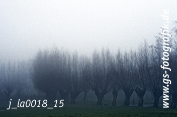 Bild in den Warenkorb legen Bild in den Warenkorb legen