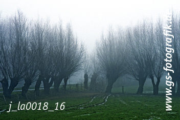 Bild in den Warenkorb legen Bild in den Warenkorb legen