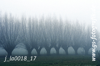 Bild in den Warenkorb legen Bild in den Warenkorb legen