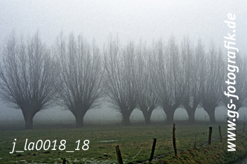 Bild in den Warenkorb legen Bild in den Warenkorb legen