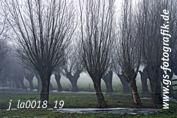 Bild in den Warenkorb legen Bild in den Warenkorb legen