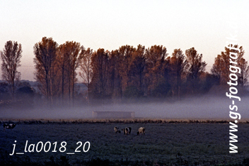 Bild in den Warenkorb legen Bild in den Warenkorb legen