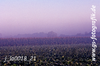 Bild in den Warenkorb legen Bild in den Warenkorb legen