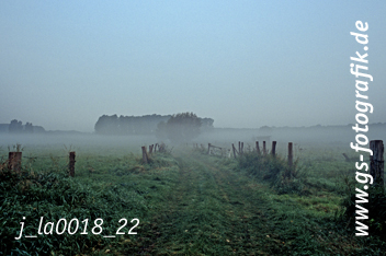 Bild in den Warenkorb legen Bild in den Warenkorb legen