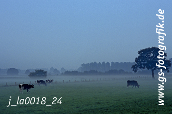 Bild in den Warenkorb legen Bild in den Warenkorb legen