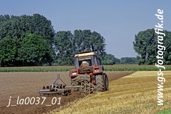 Bild in den Warenkorb legen