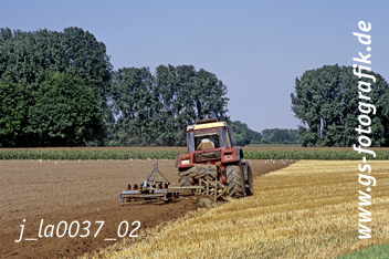 Bild in den Warenkorb legen