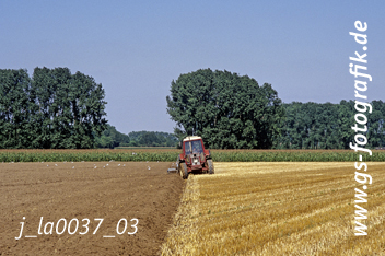 Bild in den Warenkorb legen