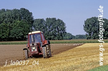 Bild in den Warenkorb legen